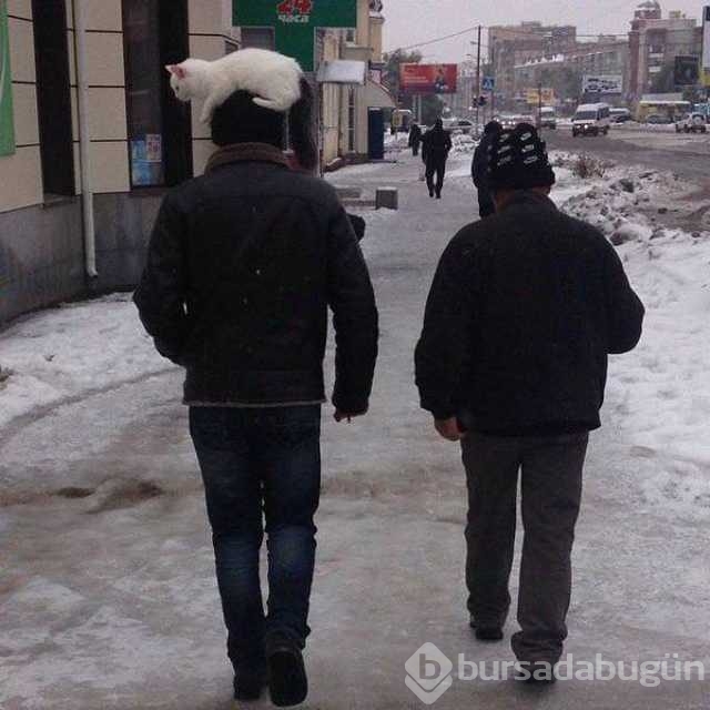 Sosyal medyada en çok paylaşılan fotoğrafları