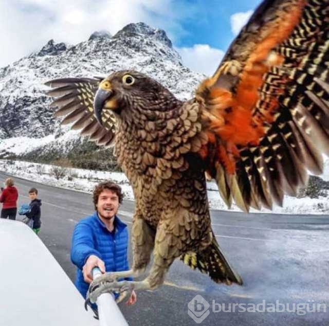 Sosyal medyada en çok paylaşılan fotoğrafları