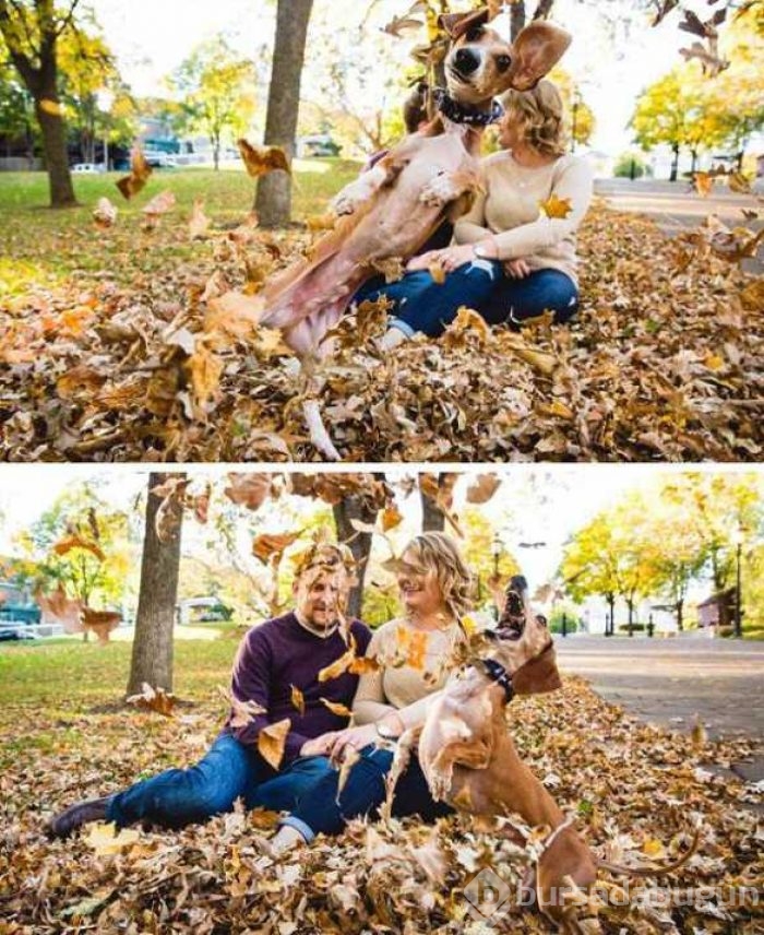 Sosyal medyada en çok paylaşılan fotoğrafları