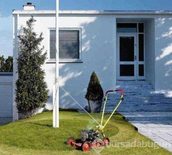 Tembelliğin bu kadarına da pes