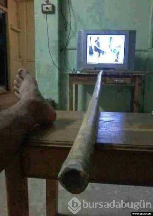 Tembelliğin bu kadarına da pes