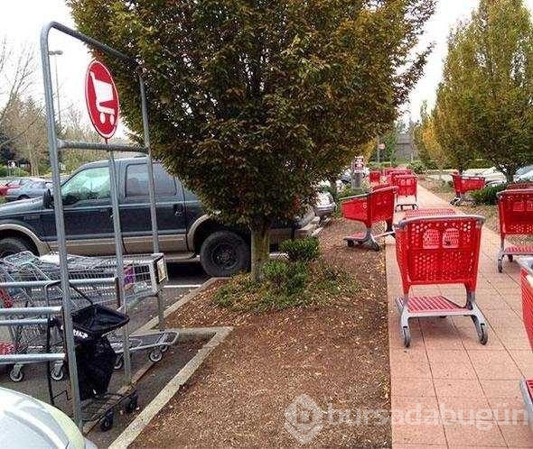 Tembelliğin bu kadarına da pes