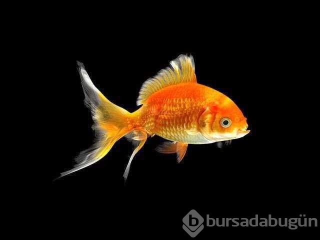 Doğru bildiğimiz yanlışlar