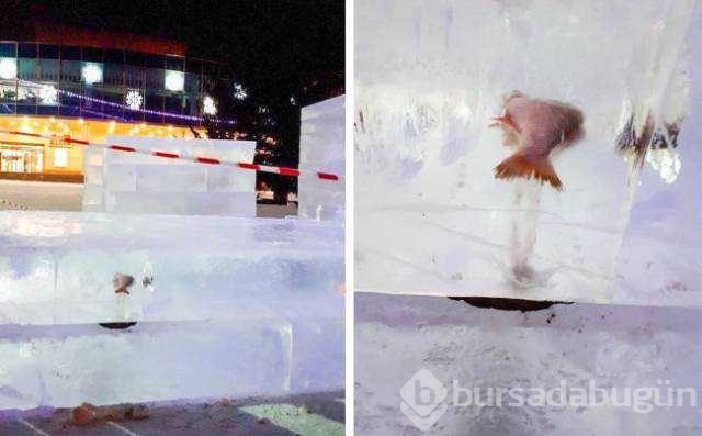 Günün en çok paylaşılan fotoğrafları
