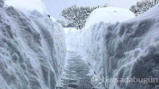 Günün en çok paylaşılan fotoğrafları
