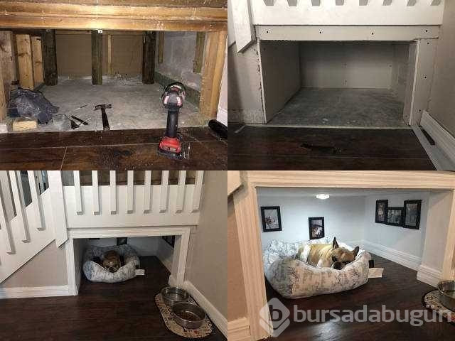 Günün en çok paylaşılan fotoğrafları
