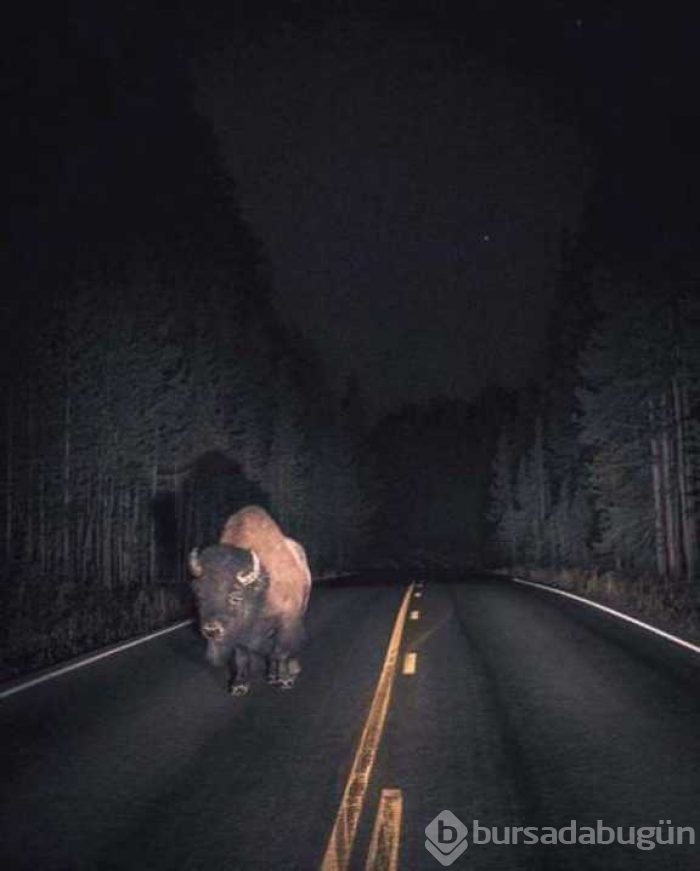 Günün en çok paylaşılan fotoğrafları
