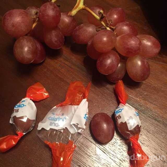 Günün en çok paylaşılan fotoğrafları
