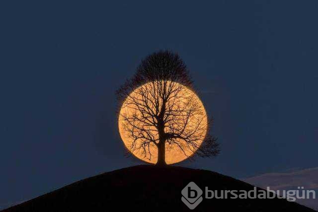 Günün en çok paylaşılan fotoğrafları

