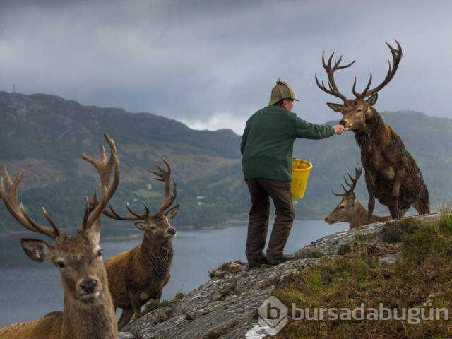 Günün en çok paylaşılan fotoğrafları
