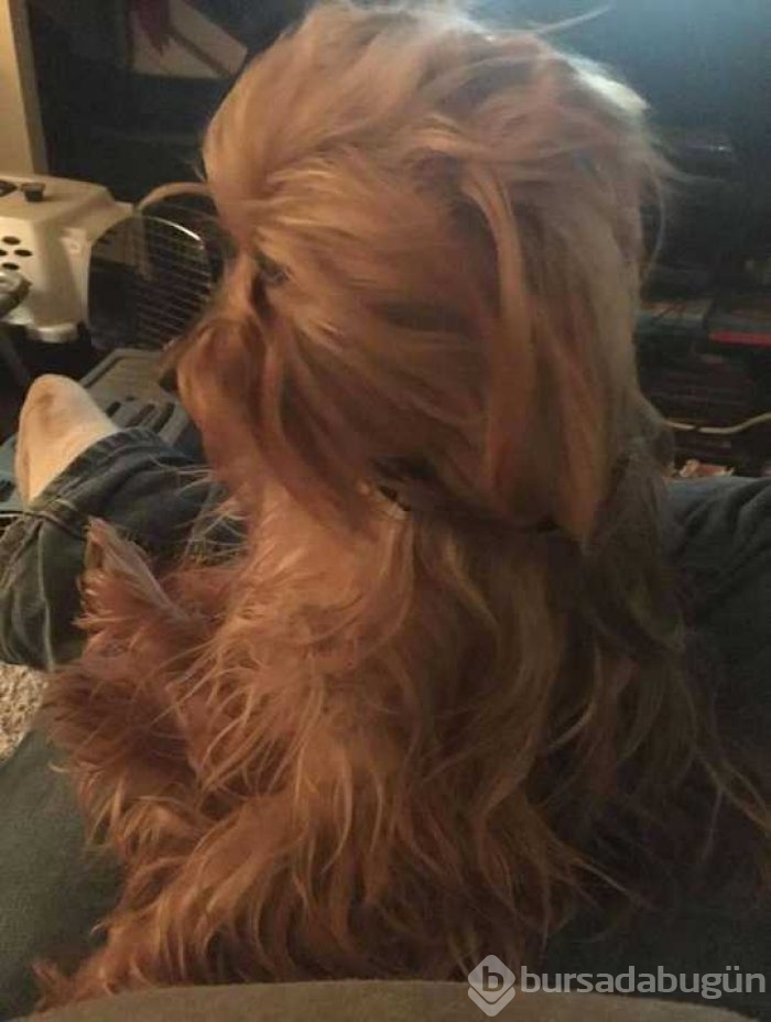 Günün en çok paylaşılan fotoğrafları
