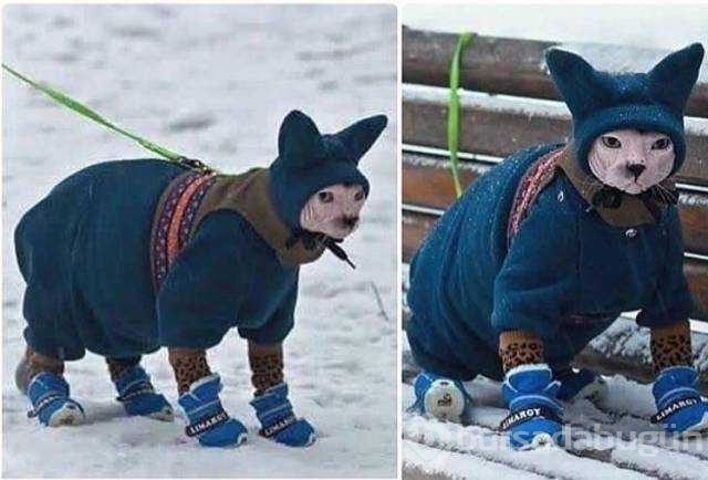 Günün en çok paylaşılan fotoğrafları
