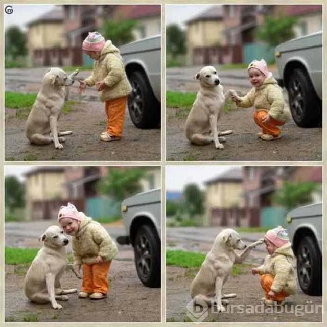 Günün en çok paylaşılan fotoğrafları
