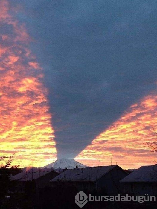 Konuşan fotoğraflar!