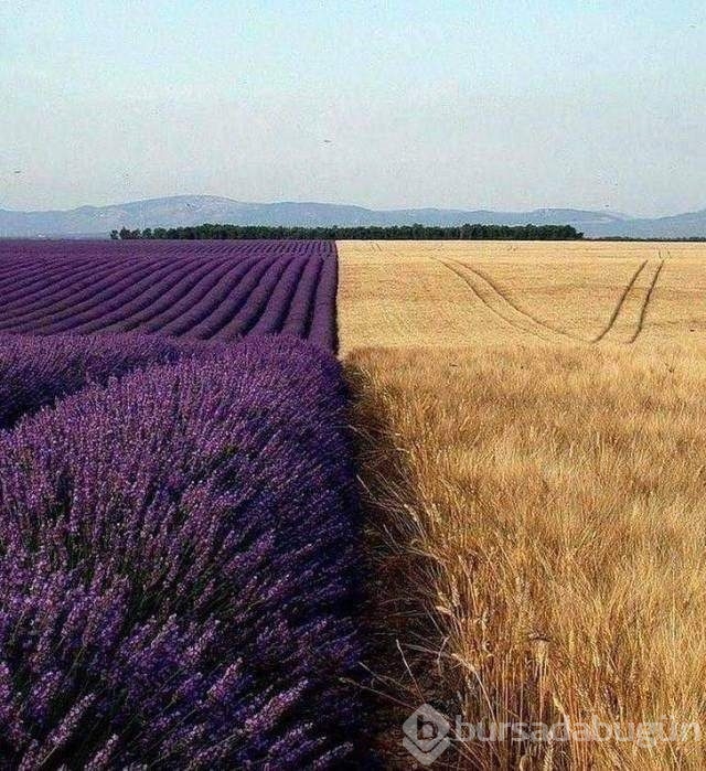 Konuşan fotoğraflar!