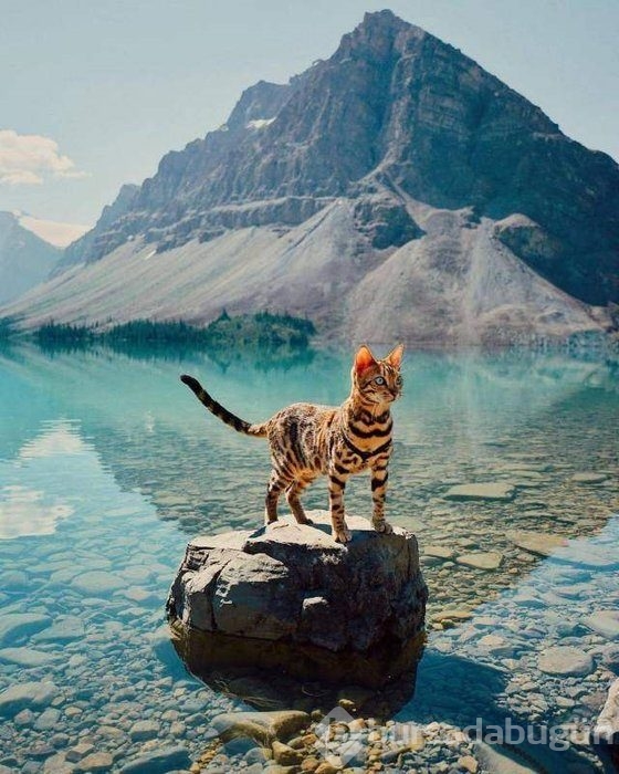 Konuşan fotoğraflar!