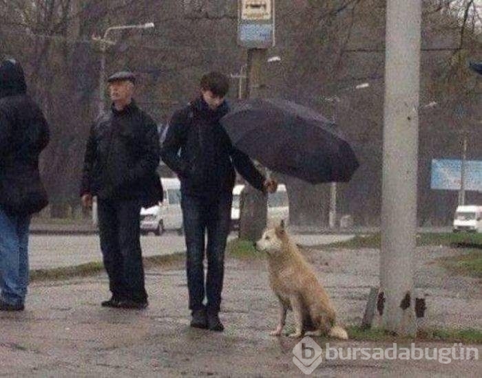 Konuşan fotoğraflar!