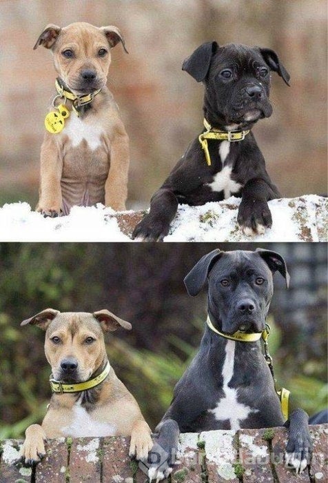 Konuşan fotoğraflar!