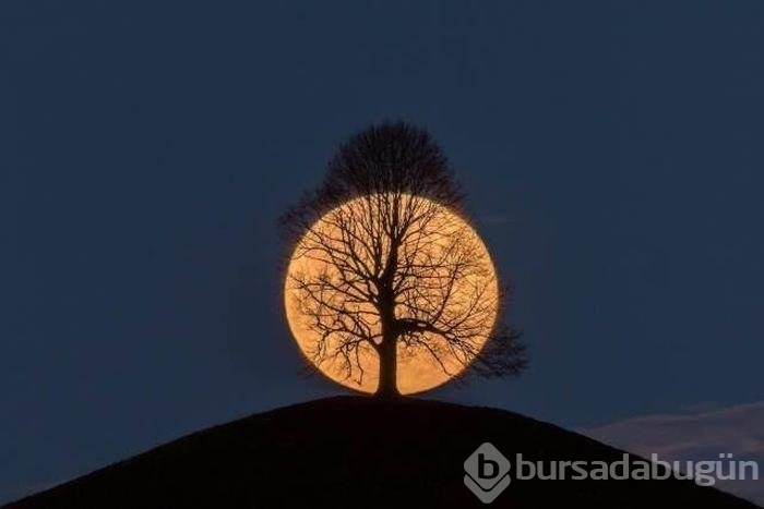 Konuşan fotoğraflar!
