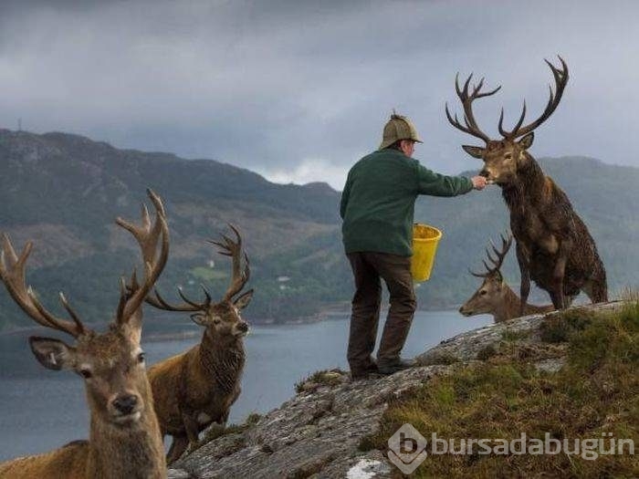 Konuşan fotoğraflar!