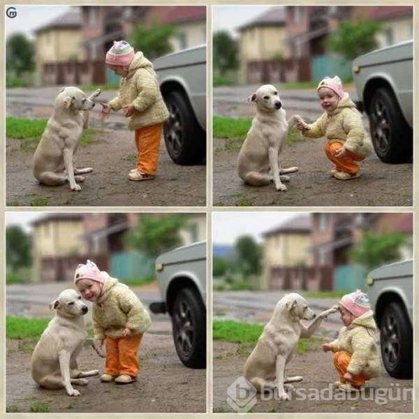 Konuşan fotoğraflar!