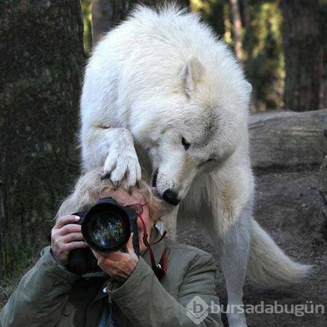 Günü en çok paylaşılan fotoğrafları