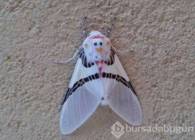 Günü en çok paylaşılan fotoğrafları