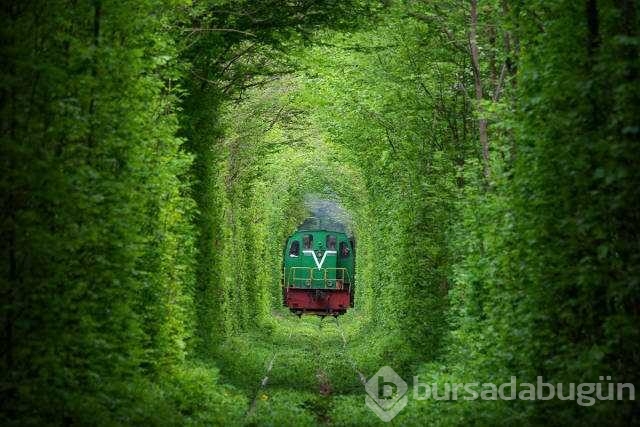 Günü en çok paylaşılan fotoğrafları