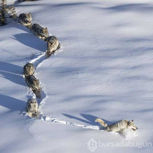 Günü en çok paylaşılan fotoğrafları