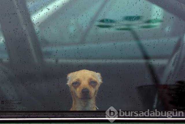 Günü en çok paylaşılan fotoğrafları