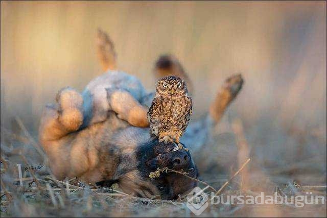 Günü en çok paylaşılan fotoğrafları