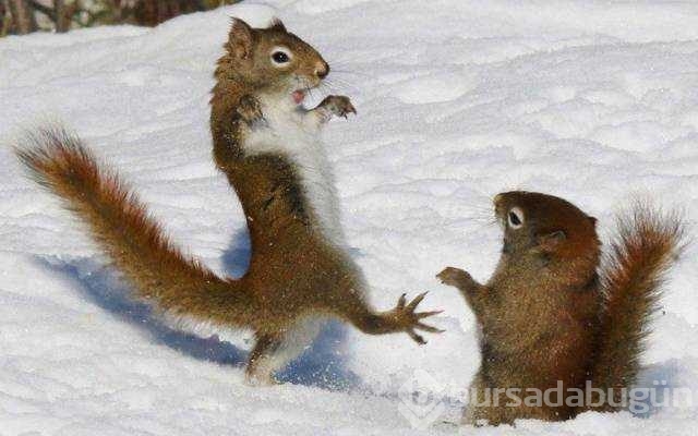 Günü en çok paylaşılan fotoğrafları