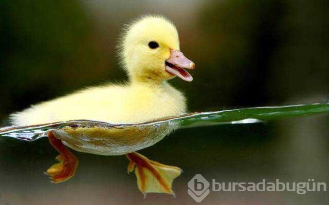 Günü en çok paylaşılan fotoğrafları