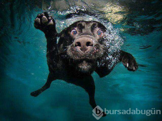 Günü en çok paylaşılan fotoğrafları