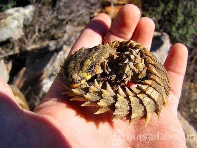Günü en çok paylaşılan fotoğrafları