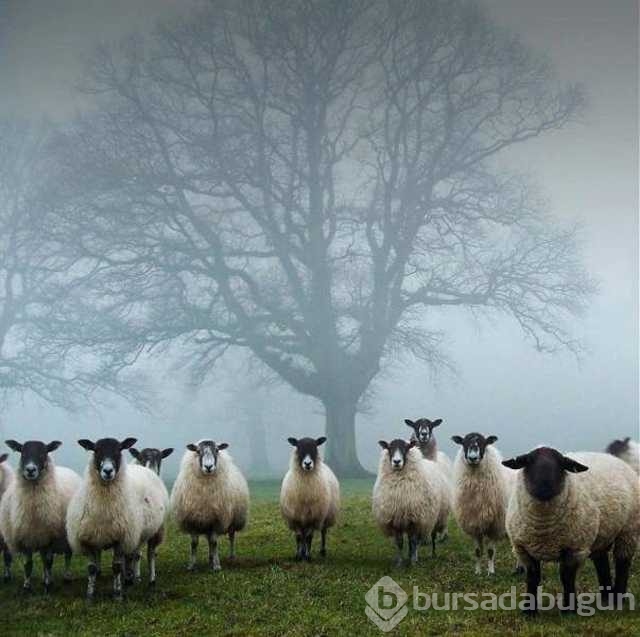 Günü en çok paylaşılan fotoğrafları
