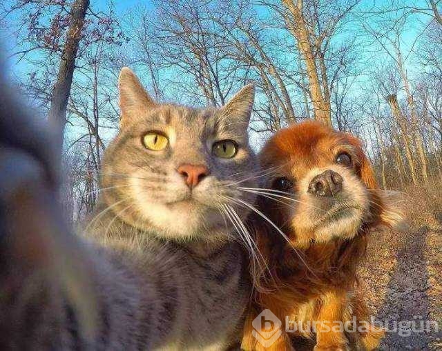 Günü en çok paylaşılan fotoğrafları