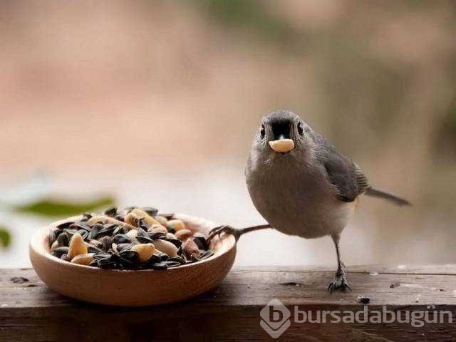 Günü en çok paylaşılan fotoğrafları