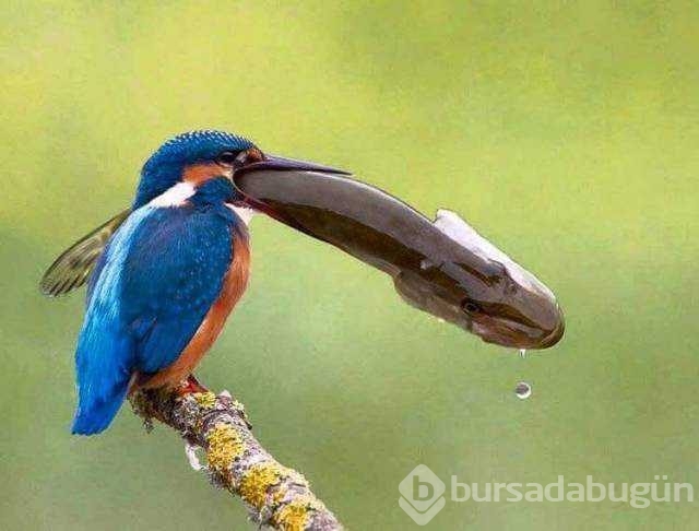 Günü en çok paylaşılan fotoğrafları