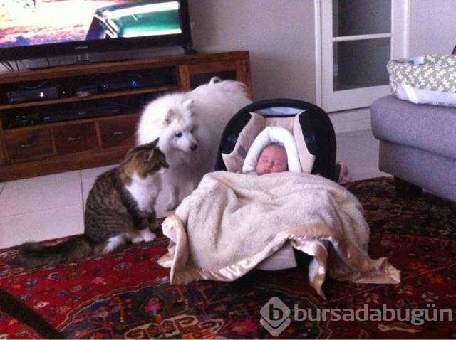 Günü en çok paylaşılan fotoğrafları