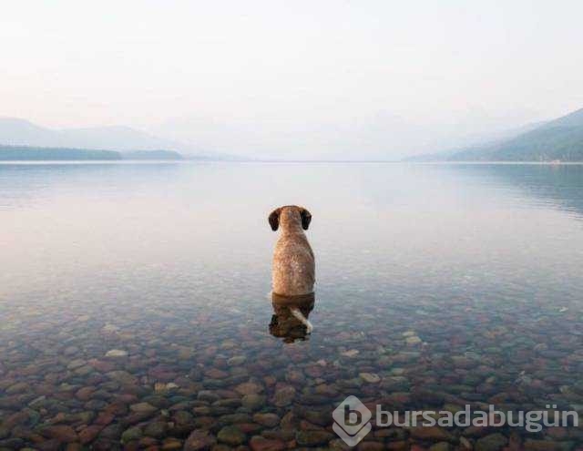 Günü en çok paylaşılan fotoğrafları