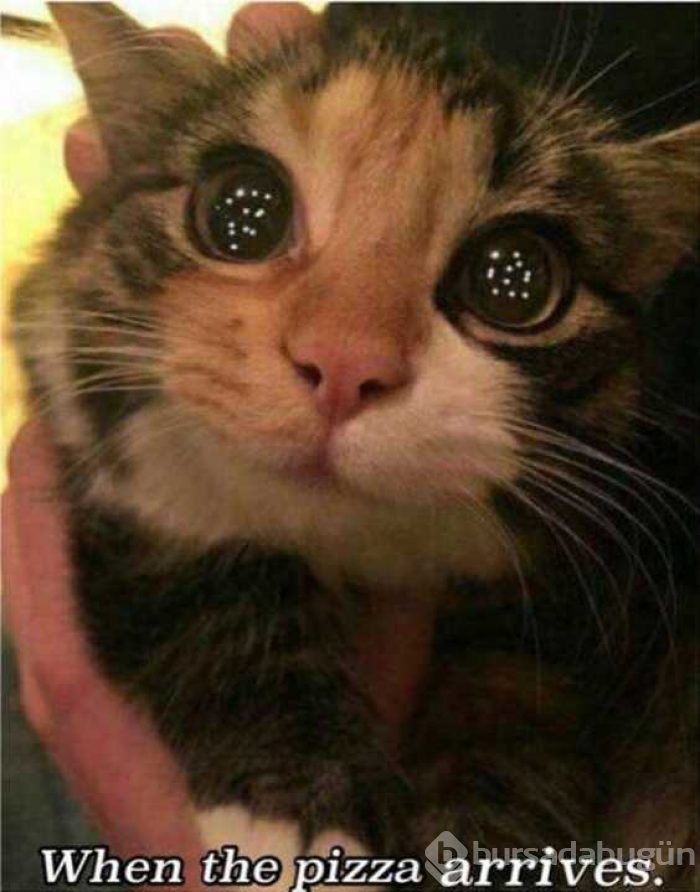 Günü en çok paylaşılan fotoğrafları