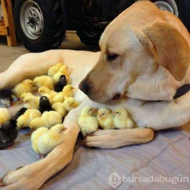 Günü en çok paylaşılan fotoğrafları