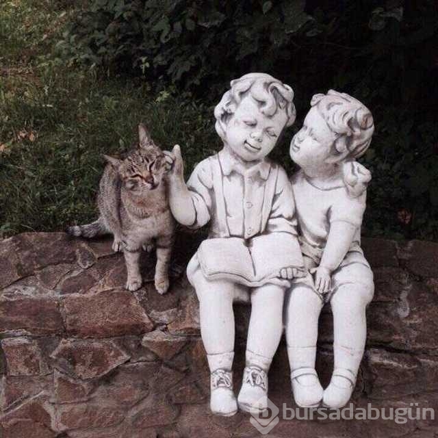 Günü en çok paylaşılan fotoğrafları
