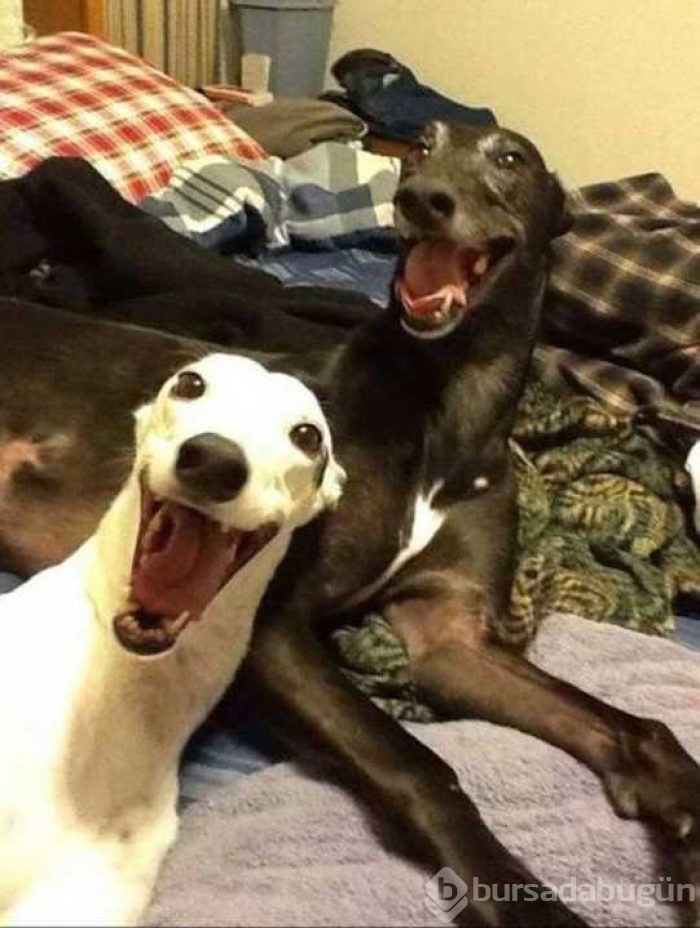 Günü en çok paylaşılan fotoğrafları