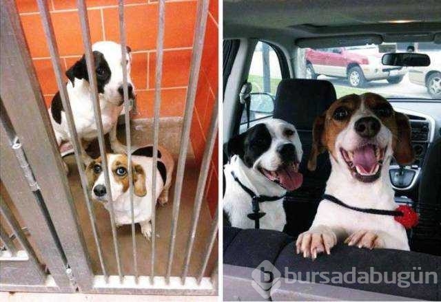 Günü en çok paylaşılan fotoğrafları