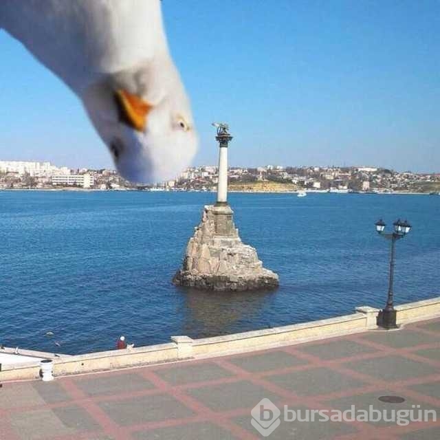 Günü en çok paylaşılan fotoğrafları