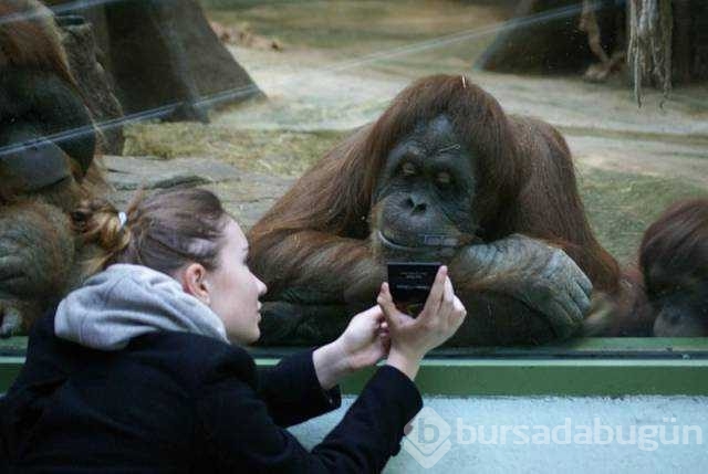 Günü en çok paylaşılan fotoğrafları