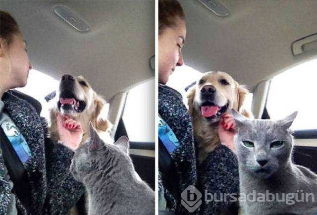 Günü en çok paylaşılan fotoğrafları
