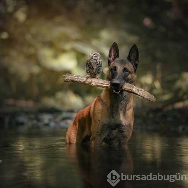 Günü en çok paylaşılan fotoğrafları